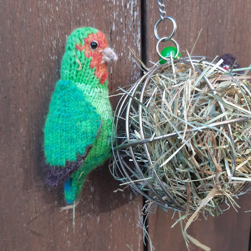 Lovebirds