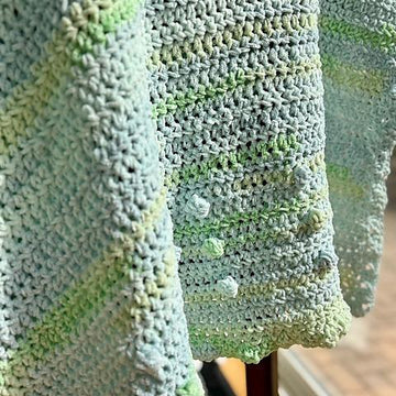 Lil Sprout Baby Blanket
