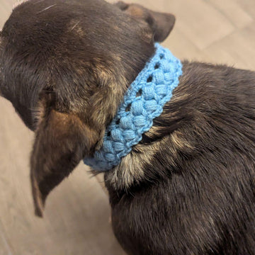Dog Collar #3 English-US