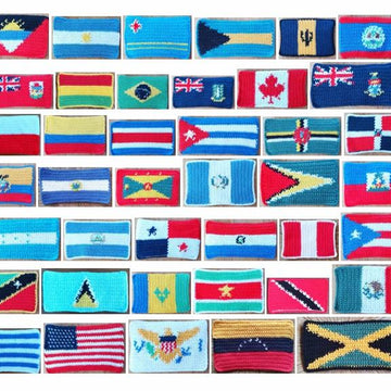 41 Flags of America