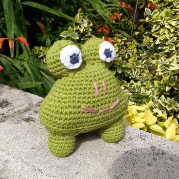 Floyd the Frog