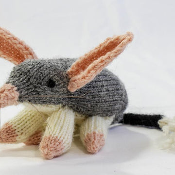 Australian Bilby