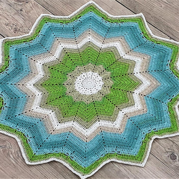 Land Sea Sky Dragonfly 12 Point Star Baby Blanket