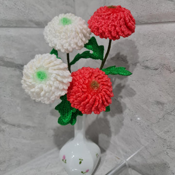 Ping Pong Chrysanthemum flowers