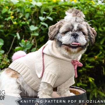 Easter bunny hoodie for dog