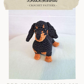 Dachshund