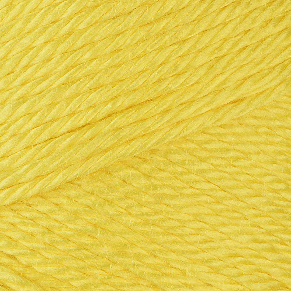 Caron Simply Soft Brites