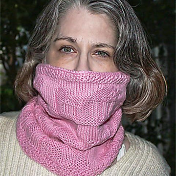 Berlin Skyline Cowl