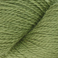 Turtle Green (1027)
