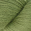 Turtle Green (1027)