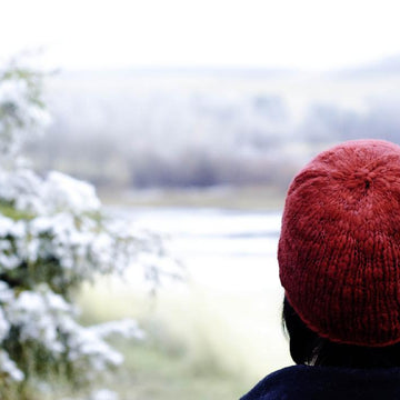 Winter Tulip Cloche