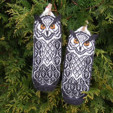 Owl Around