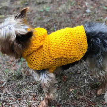 Small Dog Hoodie Sweater