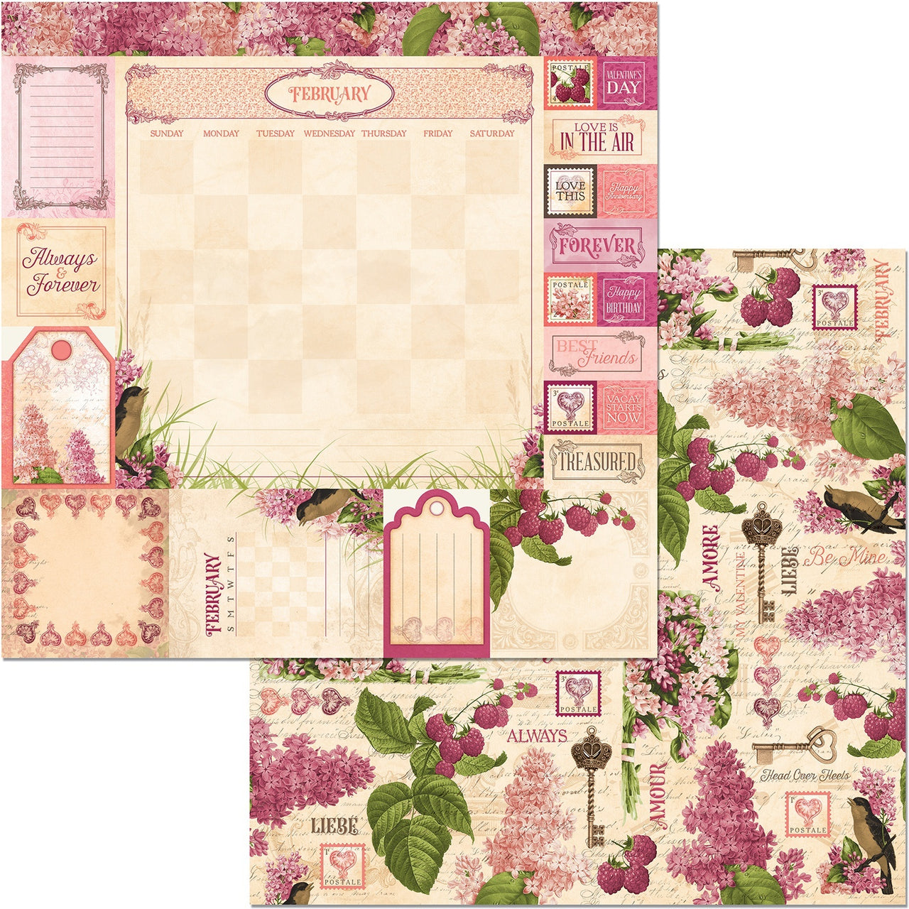 American Crafts Time & Place Double-Sided Cardstock 12"X12" 25/Pkg - February