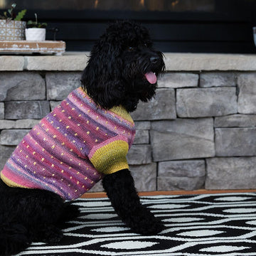 Doggie Dottie