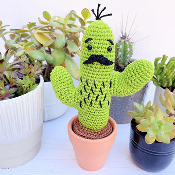 Curtis the Cactus