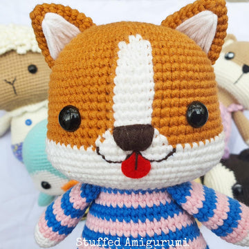 Chubby corgi