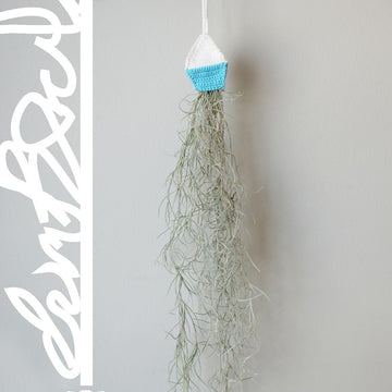 Geometric Air Planters (2015007)