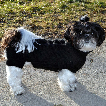 Dog Sweater TOPY FOUR LEGS