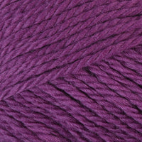 Blueberry (132)