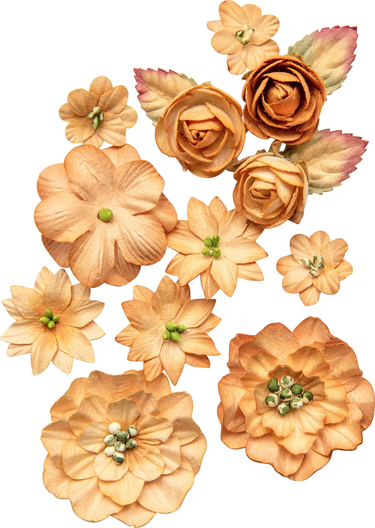 49 And Market Country Blooms 12/Pkg - Ginger