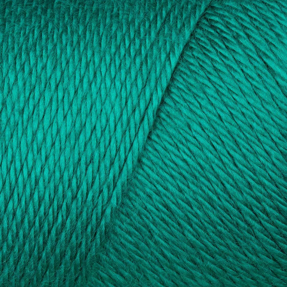 Caron Simply Soft