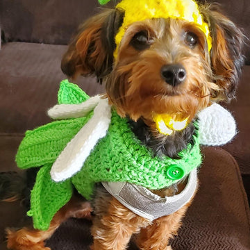 Stinker Bell Dog Coat inspired by Tinkerbell