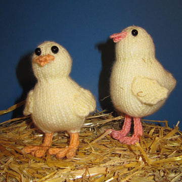 Baby Easter Chick