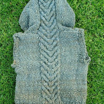 Organic Hoodie