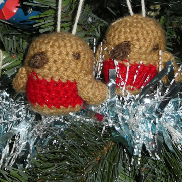 Robin Rattle Cover