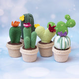 Cactus Bundle