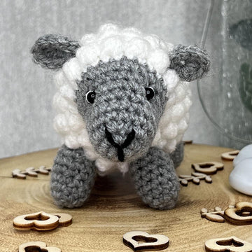 Minty the Sheep