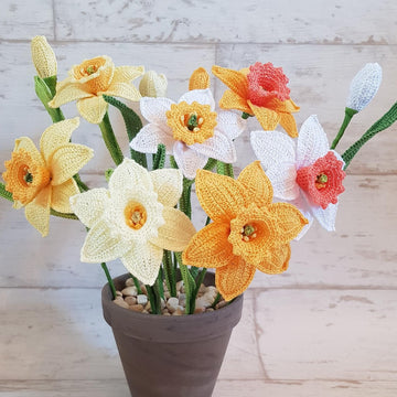 Daffodil