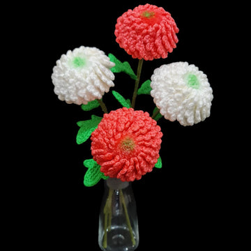 Ping Pong Chrysanthemum flowers