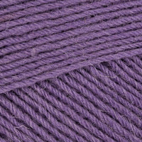 Lupine (764)
