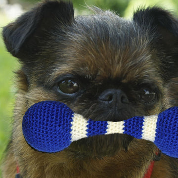 Crochet Pattern Dog Toy Throwing Stick