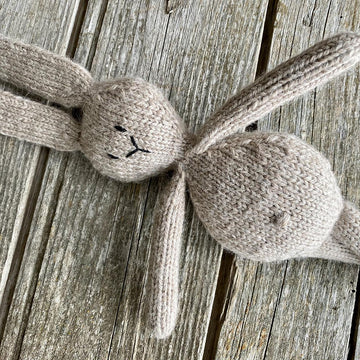 Vera / Victor the Bunny