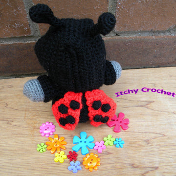 Inchoate Ladybird Hoodie