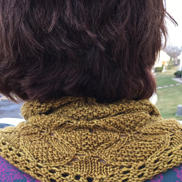 Dandelion Days Shawlette
