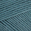 Duck Egg Blue (864)