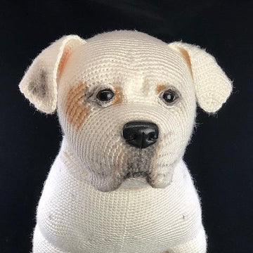 American Bulldog