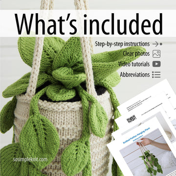Knitted Pothos Hanging Plant