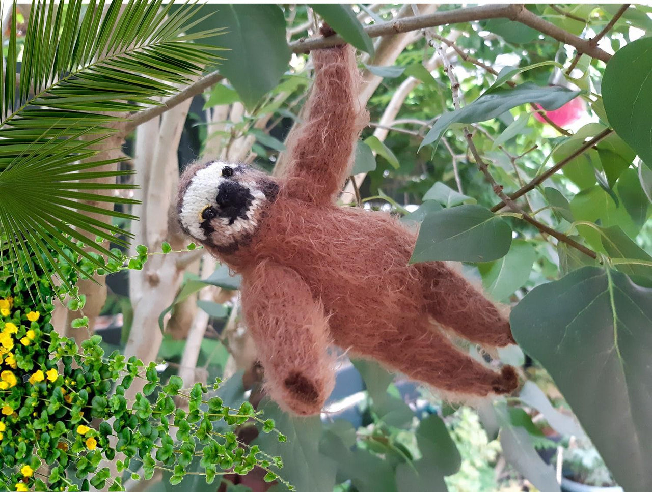 Sloth