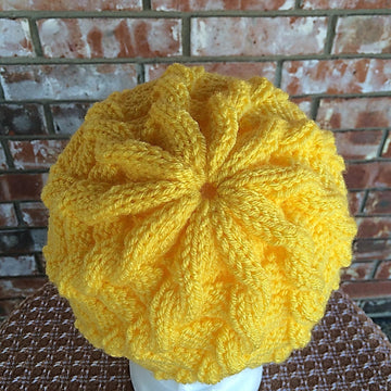 Cable Illustion Hat
