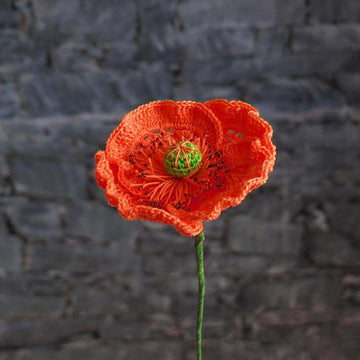 Poppy flanders oriantal or icelandic
