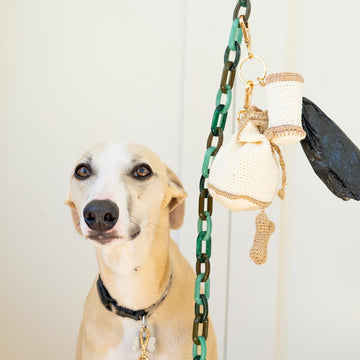 Dog Treat and Poop bag holder