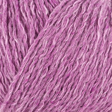 Sea Pink (728330)