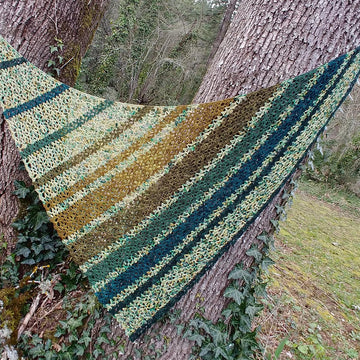 Ned's Dye-Pot Shawl