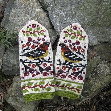 Birds and Berries