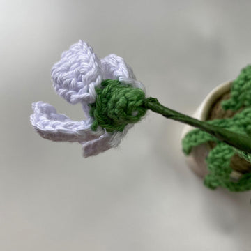 Nana's Snowdrop Flowers